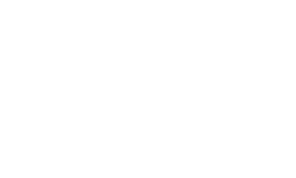 marketing roy marketing numérique
